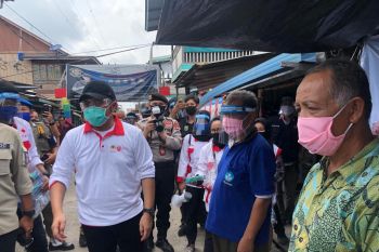 Gubernur Sumsel dukung pengembangan hutan mangrove  jadi lokasi wisata