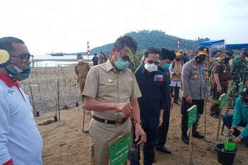 Jaga ekosistem laut, Gubernur Sumbar perlu gerakkan tanam mangrove