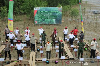 Keunggulan hutan bakau di Tanjab Barat jadi objek wisata tematik