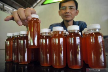 Hadi Pranoto dicecar 48 pertanyaan oleh penyidik Polda Metro Jaya