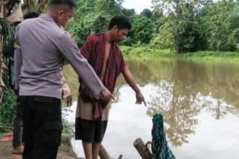 Buaya terkam warga di Sungai Barakkang Mamuju Tengah