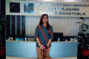 Chaterina sebut ada lima faktor penyebab paus terdampar