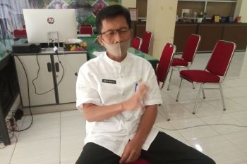 Sudah berusia diatas 25 tahun, 440 hektare kelapa sawit petani direplanting Pemkab Agam selama 2019