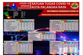Jumlah terkini pasien sembuh dari COVID-19 di Palangka Raya