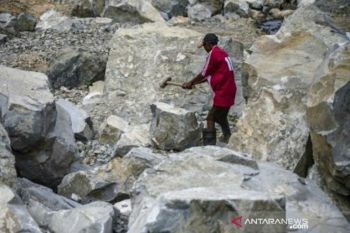 Ekonomi Sulteng tumbuh positif di tengah pandemi