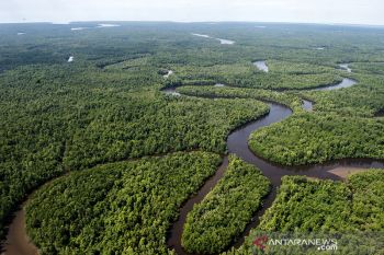 Forestry sector to contribute 60 pct to Indonesia's emissions cut