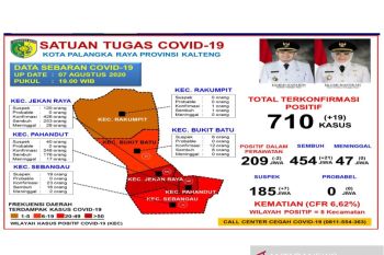 Jumlah kasus positif COVID-19 di Palangka Raya capai 710 orang