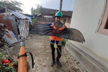 Listrik padam puluhan kali akibat layang-layang