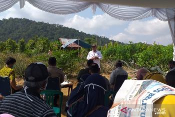 Dukung ketahanan pangan, Babel sediakan lahan sawah 30.000 ha
