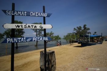 Wisata Pantai Gua Petapa