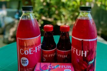 Tim Farmasi Unhas Makassar hasilkan produk minuman dari kelopak bunga rosella