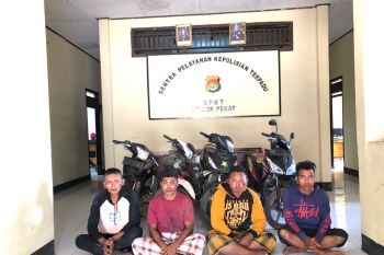 Puluhan ekor sapi milik warga raib, empat pelakunya dibekuk