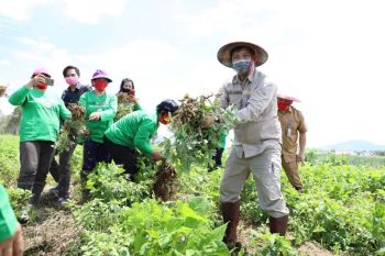 Wagub ajak masyarakat manfaatkan lahan tidur jadi produktif