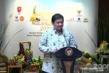 Airlangga : Buah-buahan berpotensi bantu pertumbuhan ekonomi