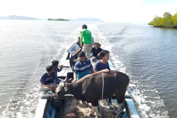 Dompet Dhuafa Singgalang sebut total dana kurban tahun ini capai Rp1 miliar