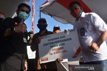 BNI mendorong realisasi KUR pertanian untuk ketahanan pangan