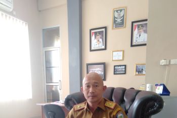 BKPSDM OKU Sumsel segera gelar tes  SKB CPNS