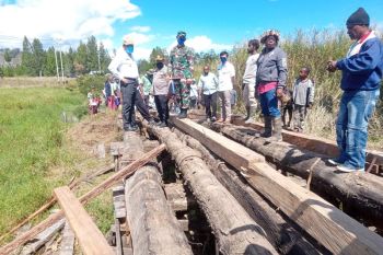 Pemkab Jayawijaya sokong warga swadaya membangun jembatan