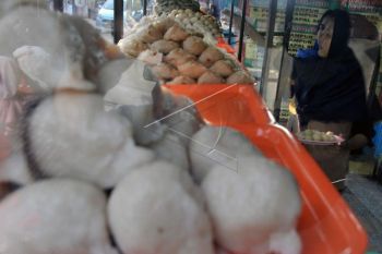 Sumsel perjuangkan pempek jadi warisan budaya ke Unesco