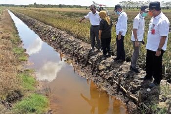 Jajaran DPP PDI Perjuangan tinjau lokasi lumbung pangan Kalteng
