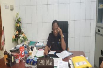 Merauke terapkan lagi belajar di rumah setelah kasus COVID-19 naik