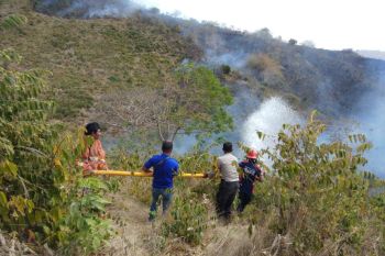 Lahan di Gunung Bako Lombok Tengah terbakar