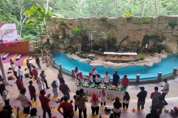 Disparekraf : pelaku usaha pariwisata harus terapkan CHSE