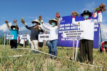 BI dukung peningkatan produksi bawang merah di Sigi