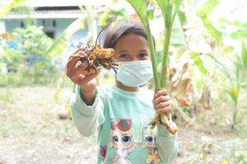 BRIN temukan bakteri antikanker di tanah tanaman kunyit