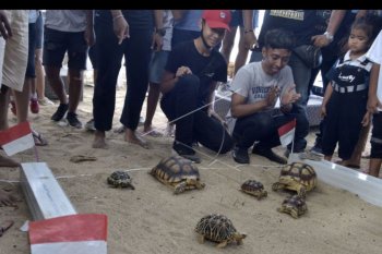 Pecinta satwa meriahkan HUT Kemerdekaan RI
