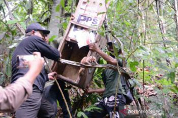 PT Timah-Alobi Foundation ambil bagian memerdekakan satwa liar dalam momen HUT RI ke-75