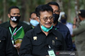 Mentan sebut momen HUT ke-75 RI bangkitkan korporasi tanaman pangan
