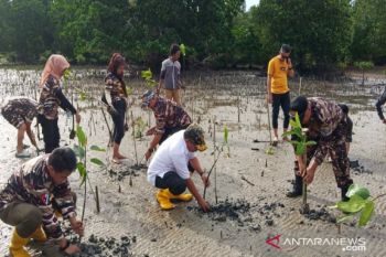FKPPI Kendari kibarkan bendera dan tanam mangrove