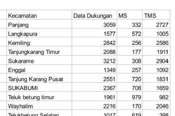 Bakal calon perseorangan Ike-Zam gagal maju di Pilkada Bandarlampung