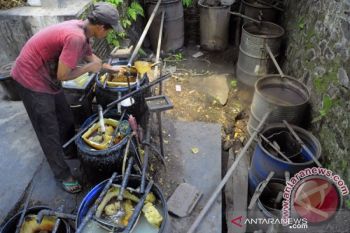Petani Sulteng  mulai tertarik kembangkan komoditi nilam