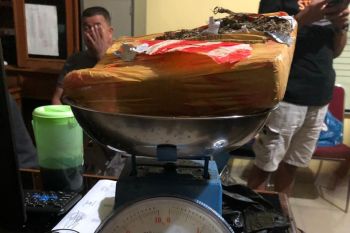 Polisi Pesisir Selatan amankan satu kilogram ganja yang dilemparkan orang tak dikenal di pemakanan