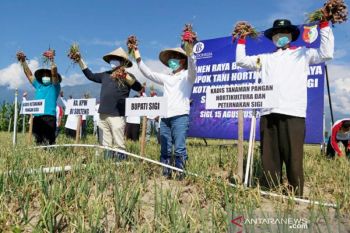 BI Sulteng  siap bantu kampanyekan konsumsi pangan lokal