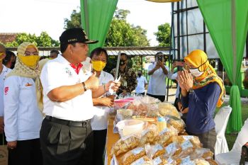 Arinal canangkan gerakan diversifikasi pangan dan ekspose UMKM pangan lokal