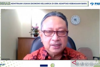 Indonesia  miliki peluang maju saat pandemi dengan bonus demografi