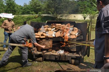 Transportation ministry lauds civil servant's arrest in drug case