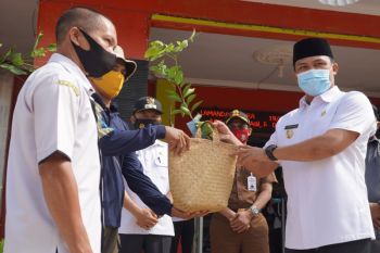 Bupati Lamandau ajak warganya gemar tanam pohon