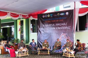 TNBBS ajak para pihak aktif dukung pelestarian harimau sumatera