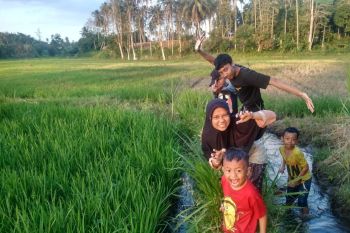 Sawah jadi alternatif wisata menarik warga Bandarlampung