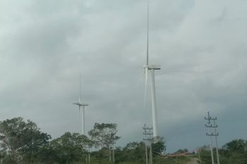 Pemkab Sidrap mulai rancang PLTB yang menyuguhkan wisata kincir