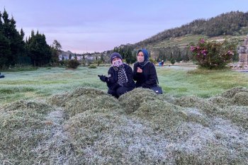 Dieng Culture Festival akan diselenggarakan secara virtual