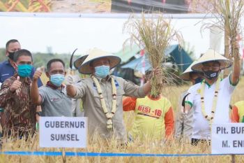 Pemprov Sumsel salurkan  dana infrastruktur Rp81 miliar di Muaraenim