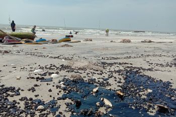 Walhi teliti limbah mencemari pantai di Lampung Timur