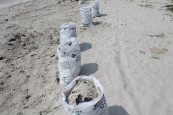 Walhi beberkan hasil penelitian pencemaran limbah di Pantai Lampung Timur