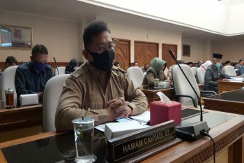 FPKS DPRD Kulon Progo minta pemkab revitalisasi UMKM