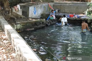 Sumber air Camplong menurun akibat dampak kekeringan